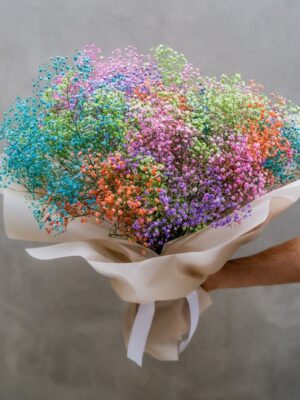 Rainbow Gypsophila