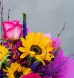 Vibrant Emotions: Seasonal Flowers