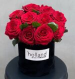 All You Need Is Love: Red Roses