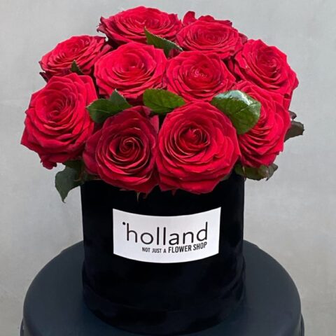 All You Need Is Love: Red Roses