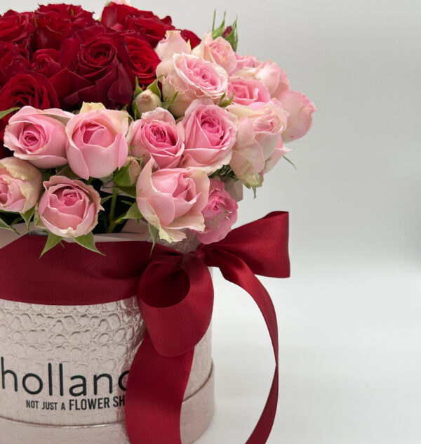 The Loyal Heart: Mini Roses